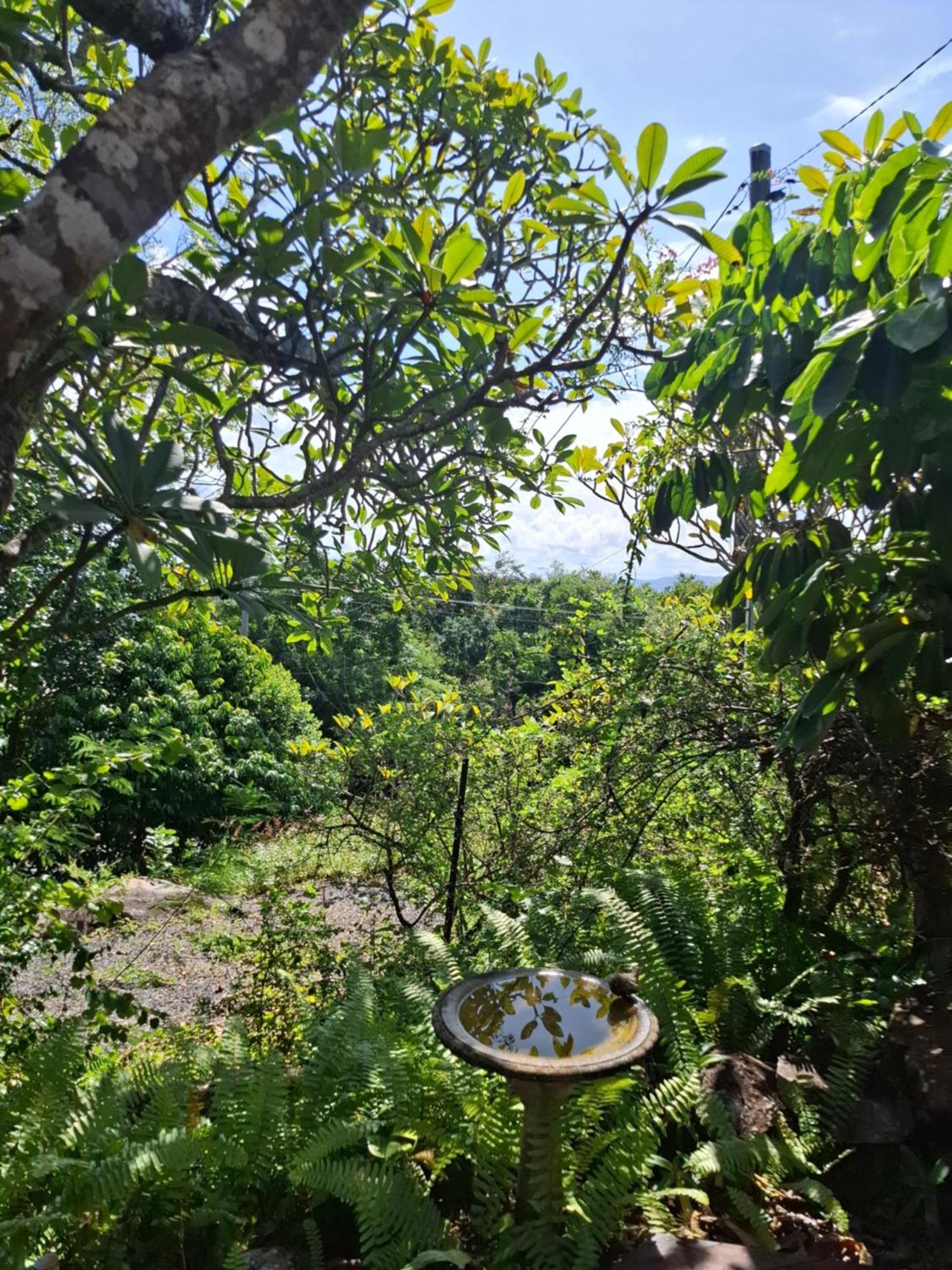 J & Ella'S Holiday House - 2 Bedroom, 2 Bathroom Home 库克敦 外观 照片